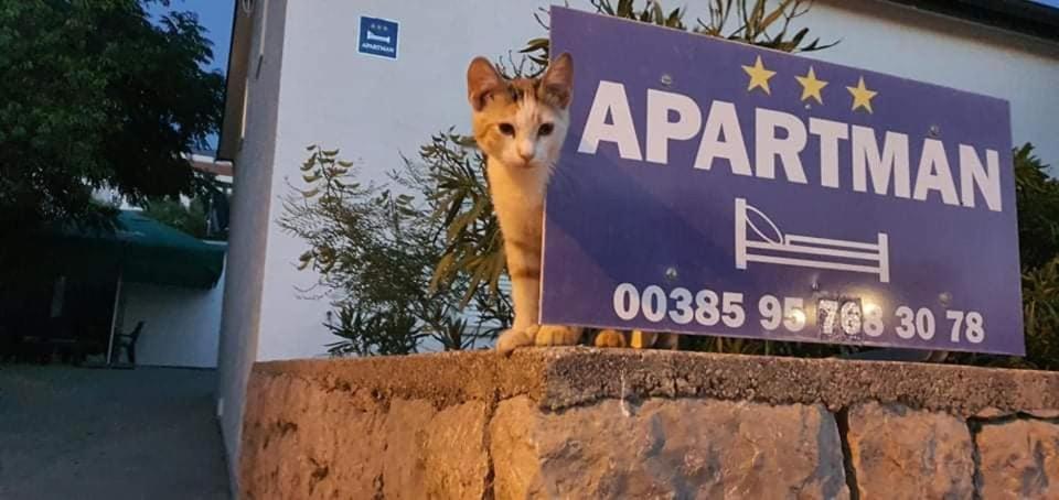 Apartman Zahira Karlobag Exteriér fotografie